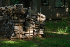 Woodpile ready for winter.