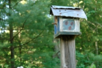 Lady bugs adorn birdhouse..