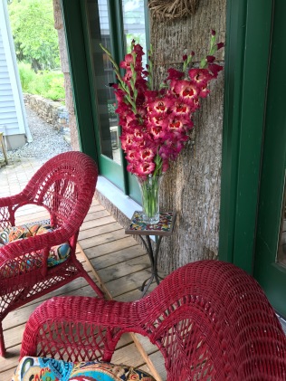 I don't even like gladioli but these are fantastic set between the brilliant wicker chairs and against the folly walls that are shingled with yellow poplar bark.
