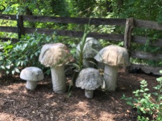 Giant mushrooms.