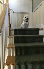 The stair-mistress.